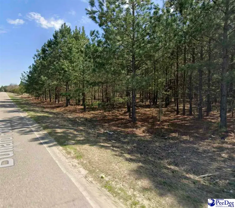 Bullard Ford Rd, Hartsville, SC 29550 - #3