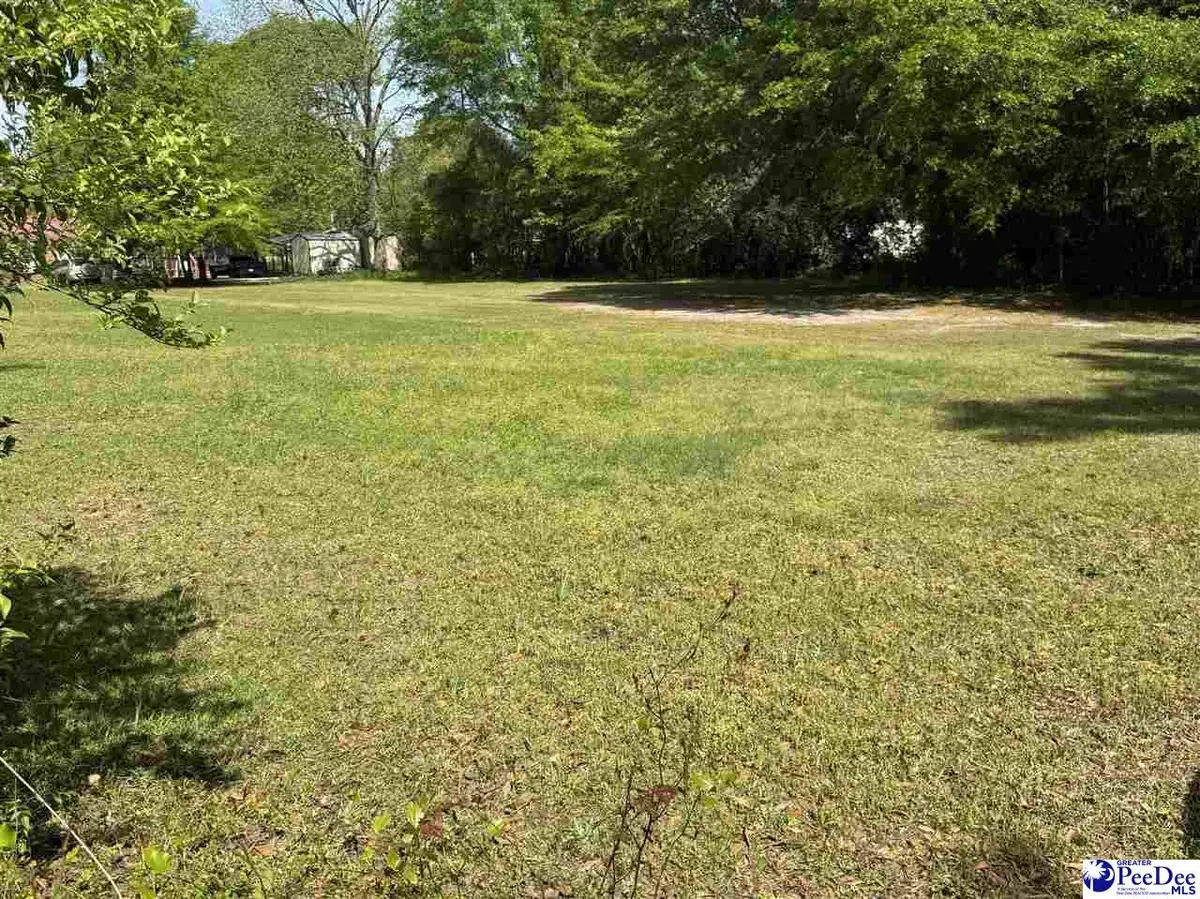 TBD Norfolk Street, Florence, SC 29506 - #1