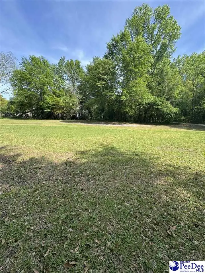 TBD Norfolk Street, Florence, SC 29506 - #3
