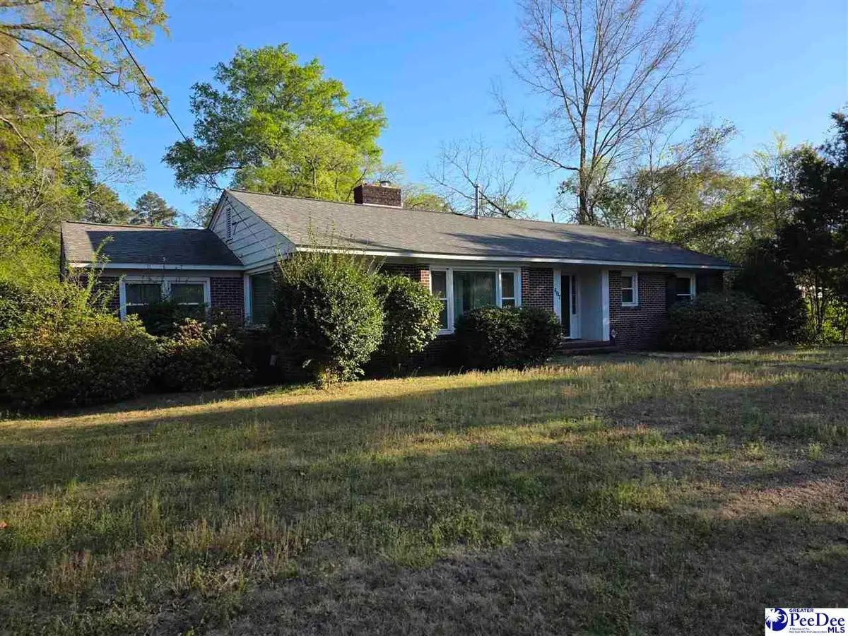 407 Market Street, Cheraw, SC 29520 - #1