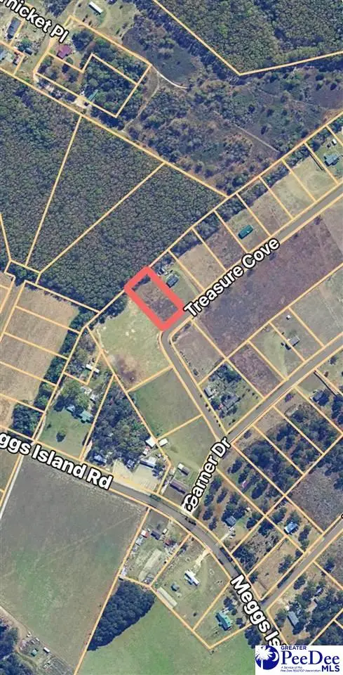 Lot 17 Treasure Cove, Latta, SC 29565 - #3