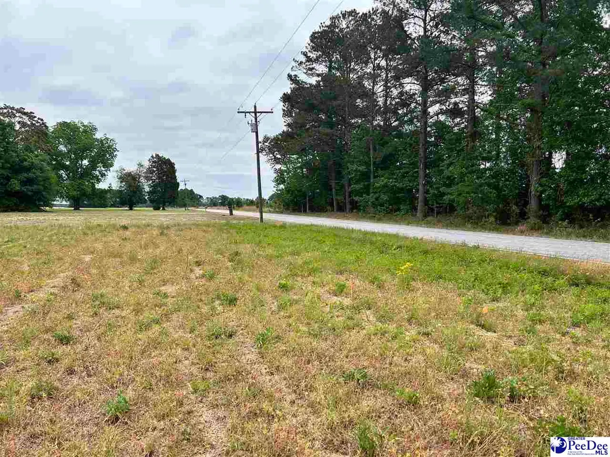 Lot 2 E Carolina Ave, Hartsville, SC 29550-0000 - #1