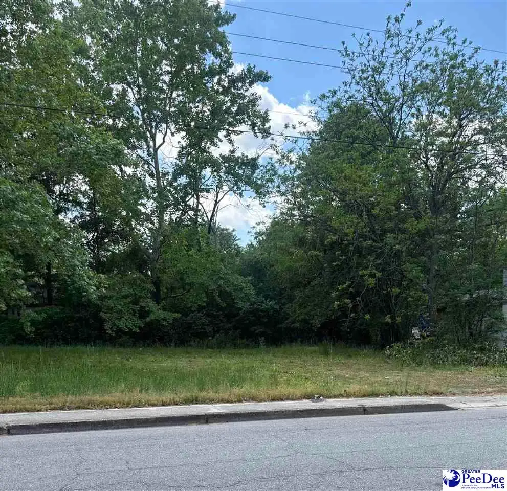 TBD Edwards Avenue, Darlington, SC 29532 - #1
