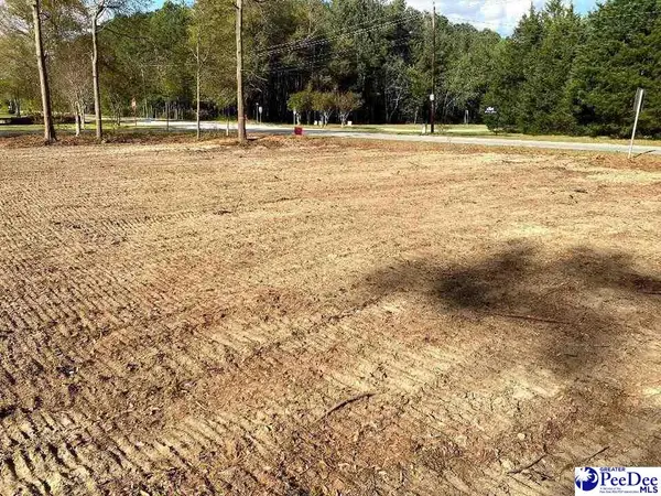 Dunlap Dr, Hartsville, SC 29550
