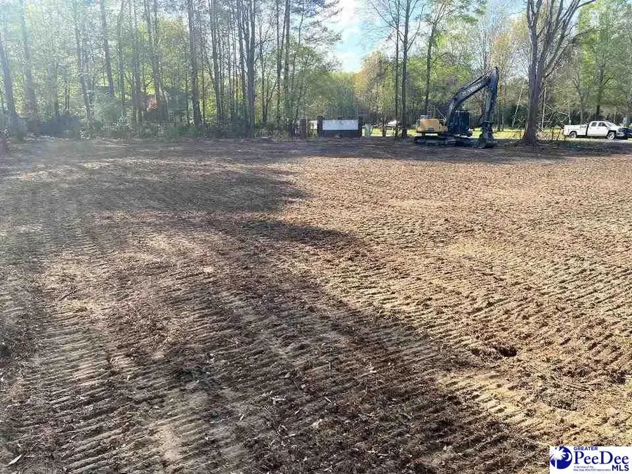 Dunlap Dr, Hartsville, SC 29550 - #2