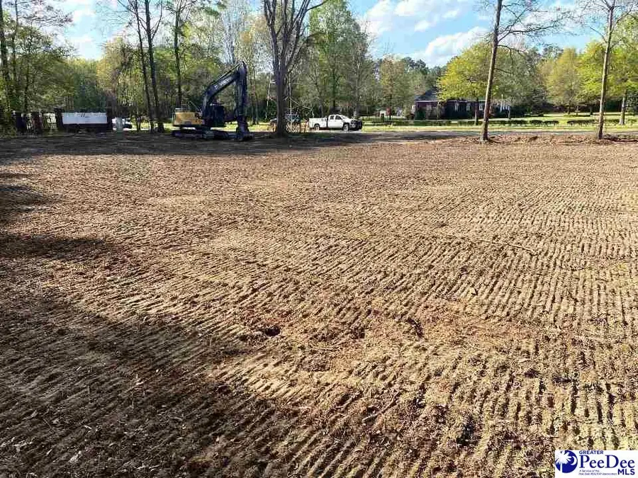 Dunlap Dr, Hartsville, SC 29550 - #3