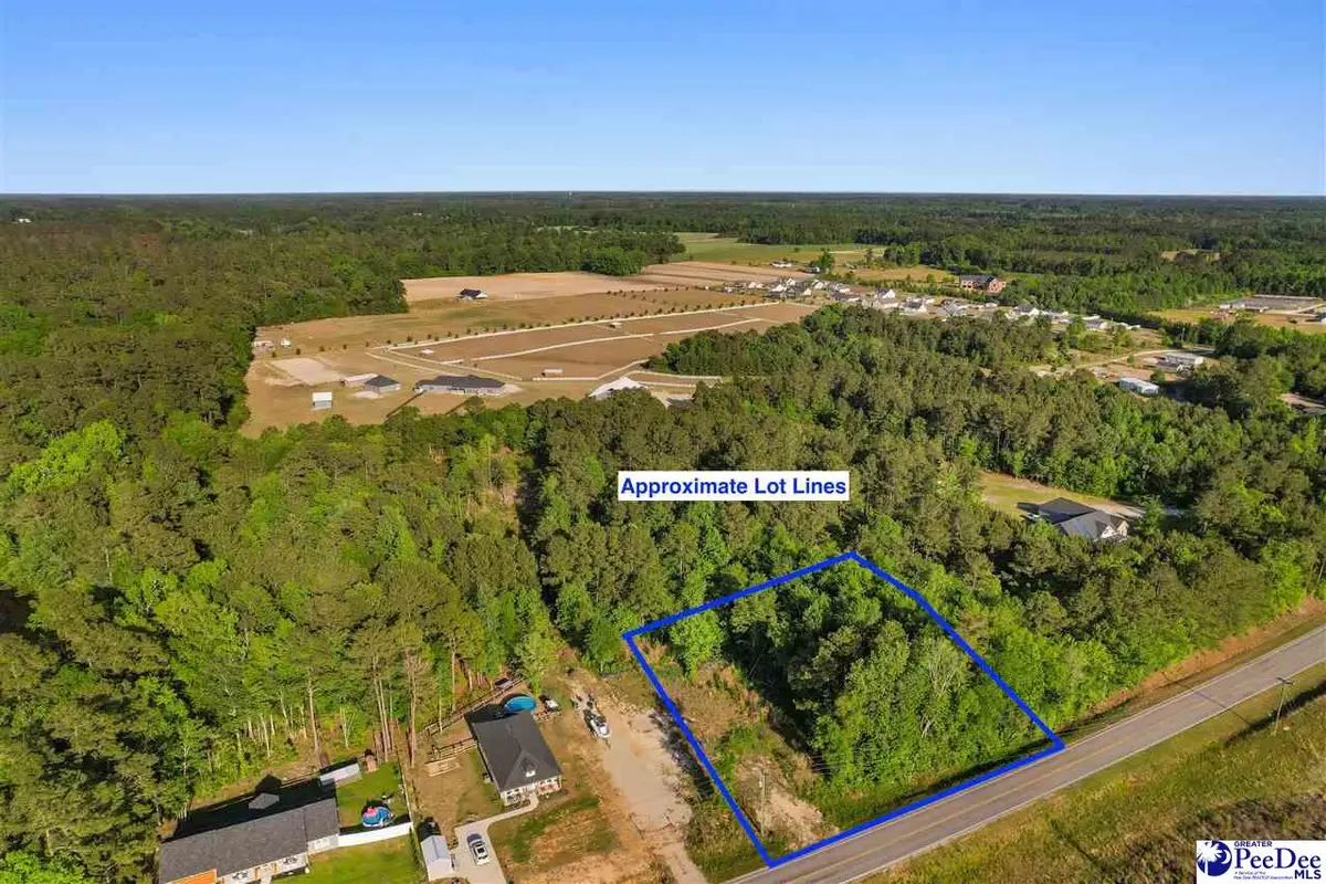 TBD Pee Dee Hwy, Conway, SC 29527 - #1