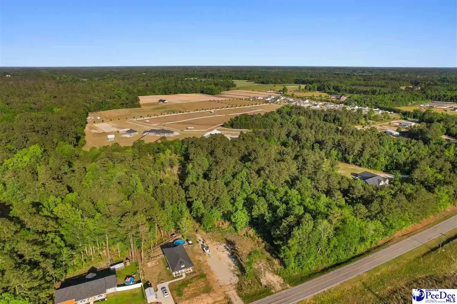 TBD Pee Dee Hwy, Conway, SC 29527 - #2
