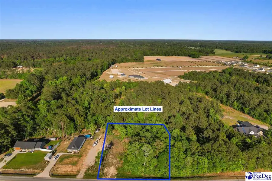 TBD Pee Dee Hwy, Conway, SC 29527 - #3