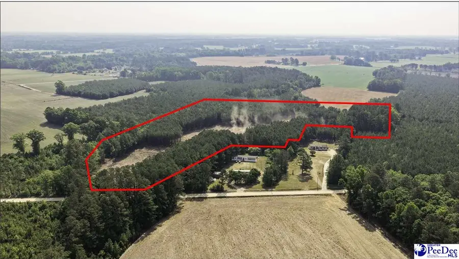 TBD Newberry Road, Lamar, SC 29069 - #3