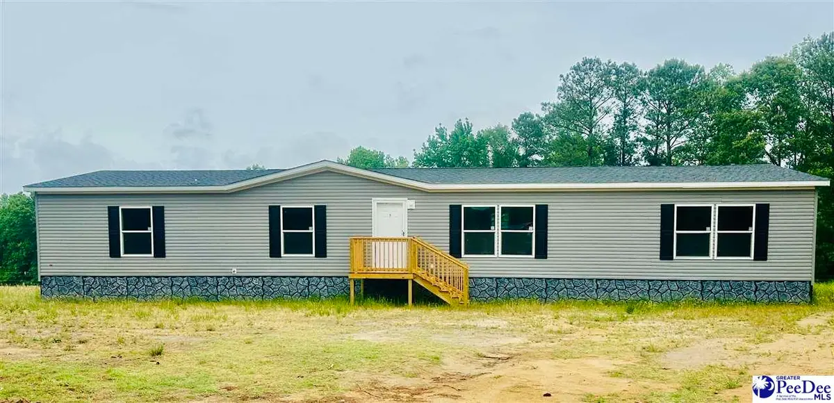788 Hough St, Mount Croghan, SC 29727 - #1