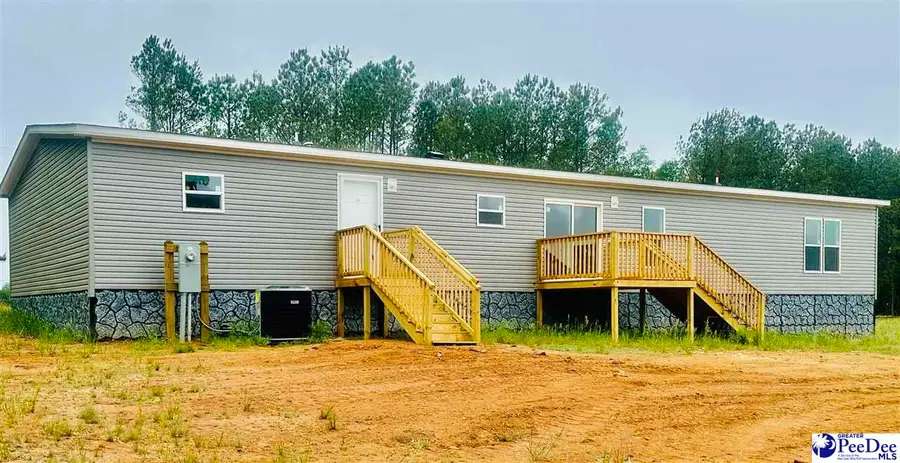 788 Hough St, Mount Croghan, SC 29727 - #2