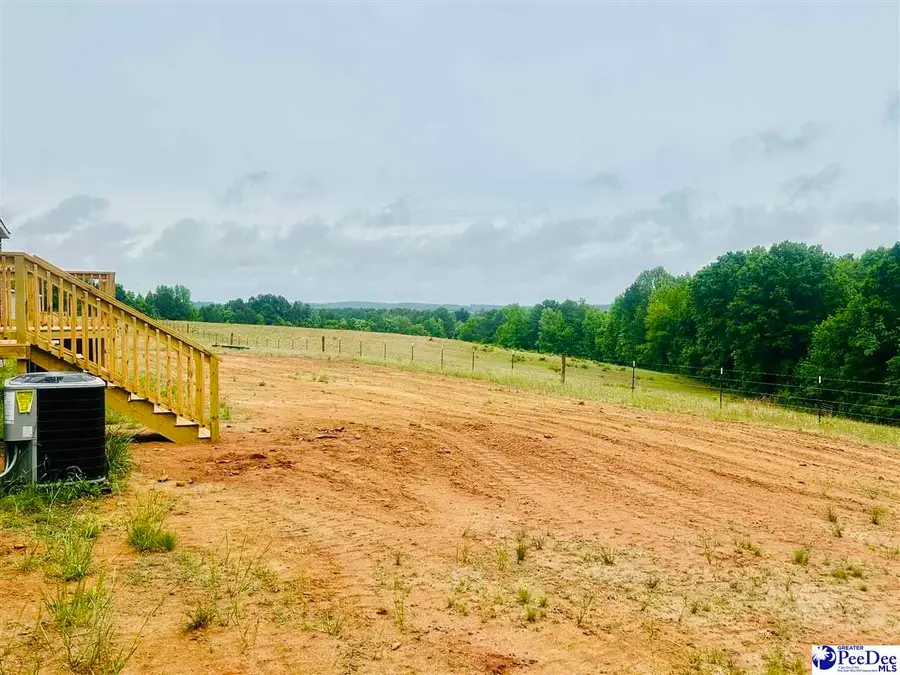 788 Hough St, Mount Croghan, SC 29727 - #3