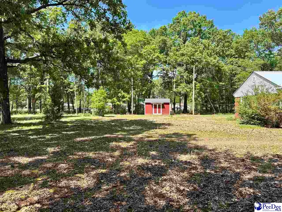 4140 Sally Bennett Rd, Dillon, SC 29536 - #3
