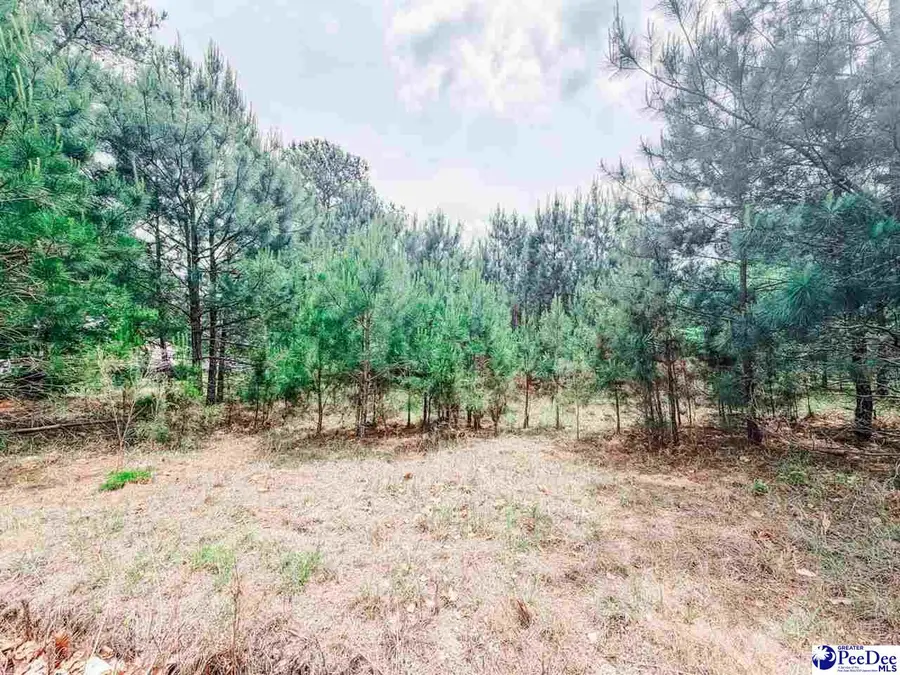 202 Meggs Island Road, Latta, SC 29565 - #2