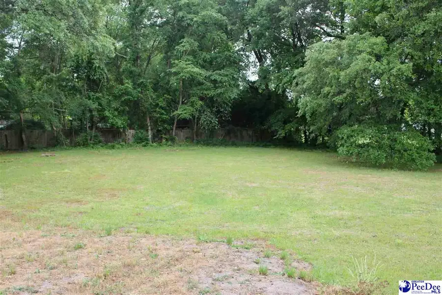 6140 Pamplico Hwy, Florence, SC 29505 - #3