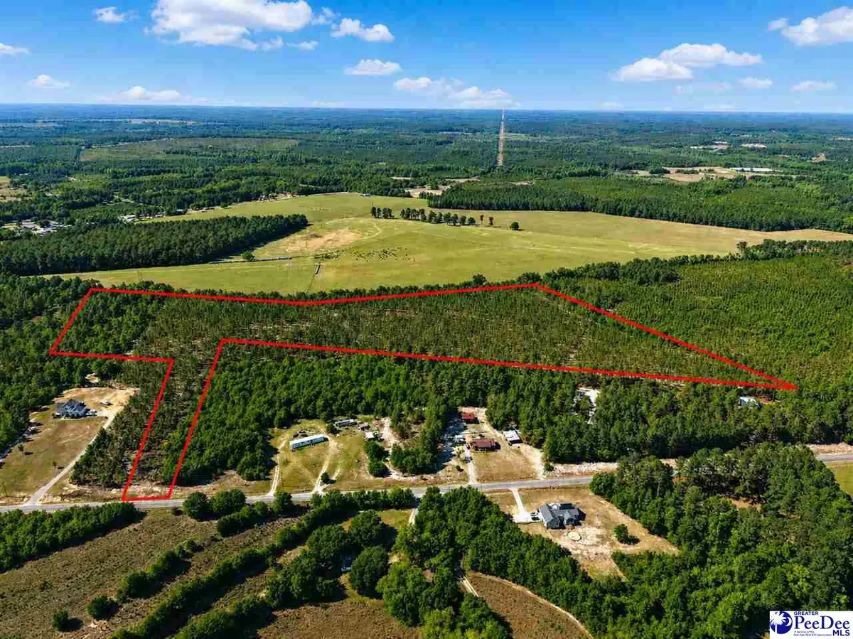 Mt. Olivet Church Rd, Patrick, SC 29584 - #1