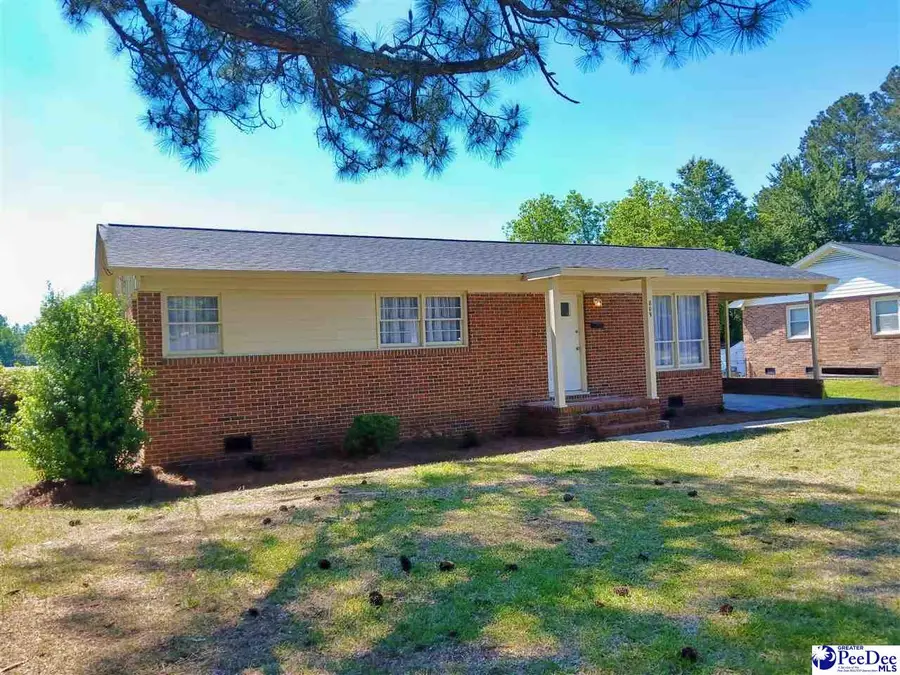 809 W Greene Street, Cheraw, SC 29520 - #3