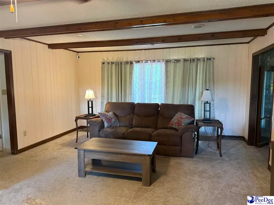 2101 Evans Mill Rd, Pageland, SC 29728 - #3