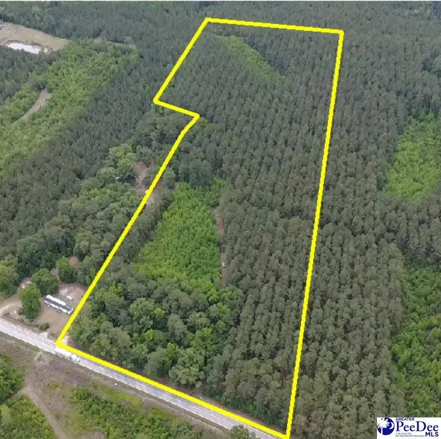 9214 Kingstree Hwy (tract A), Greeleyville, SC 29056 - #1