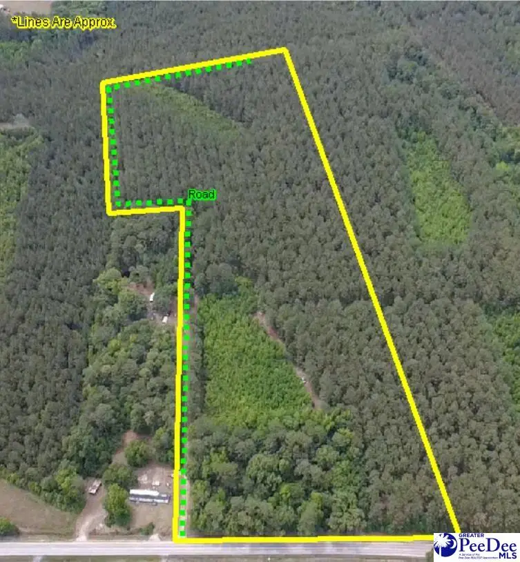 9214 Kingstree Hwy (tract A), Greeleyville, SC 29056 - #2