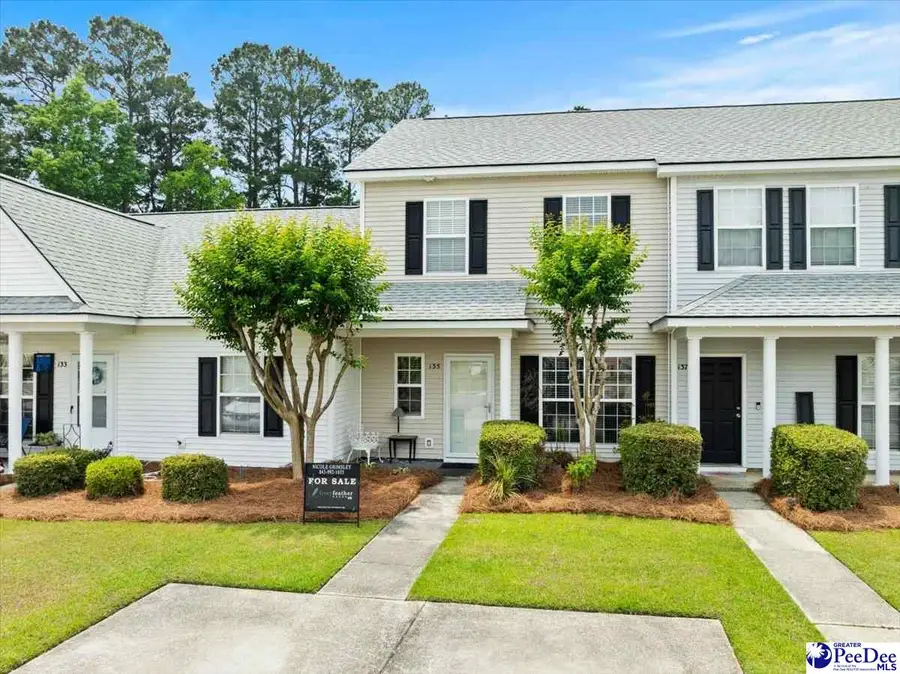 135 Lynches River Drive, Summerville, SC 29485 - #2