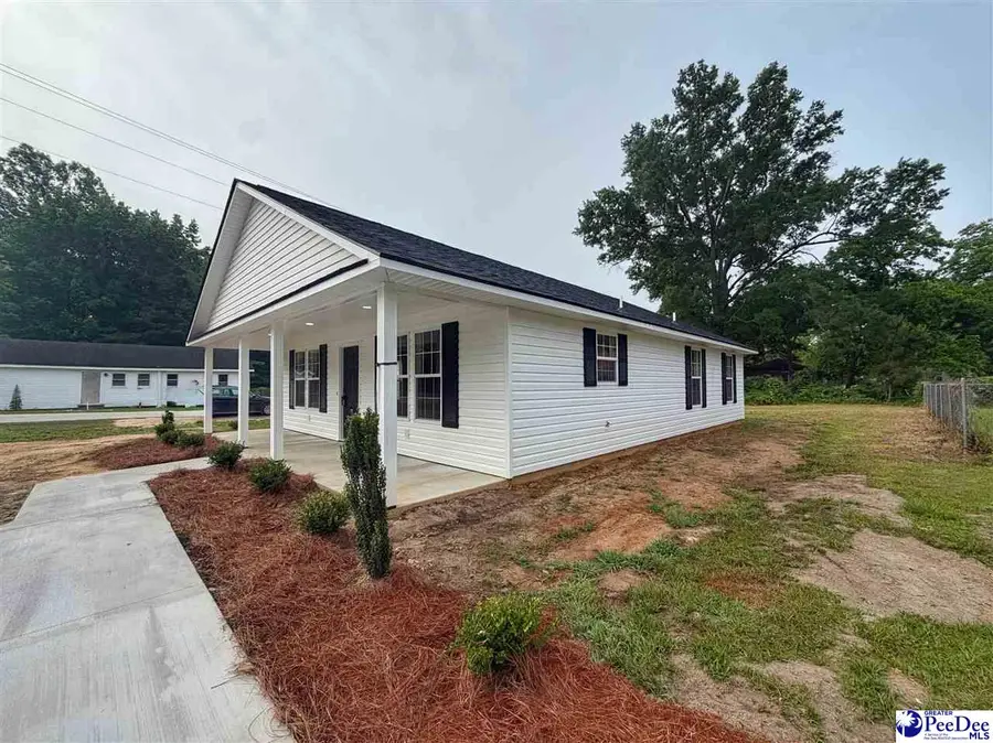 519 E Main Street, Latta, SC 29565 - #3