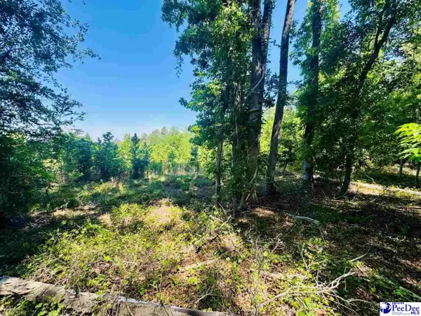 Grants Mill Rd West, Bennettsville, SC 29512