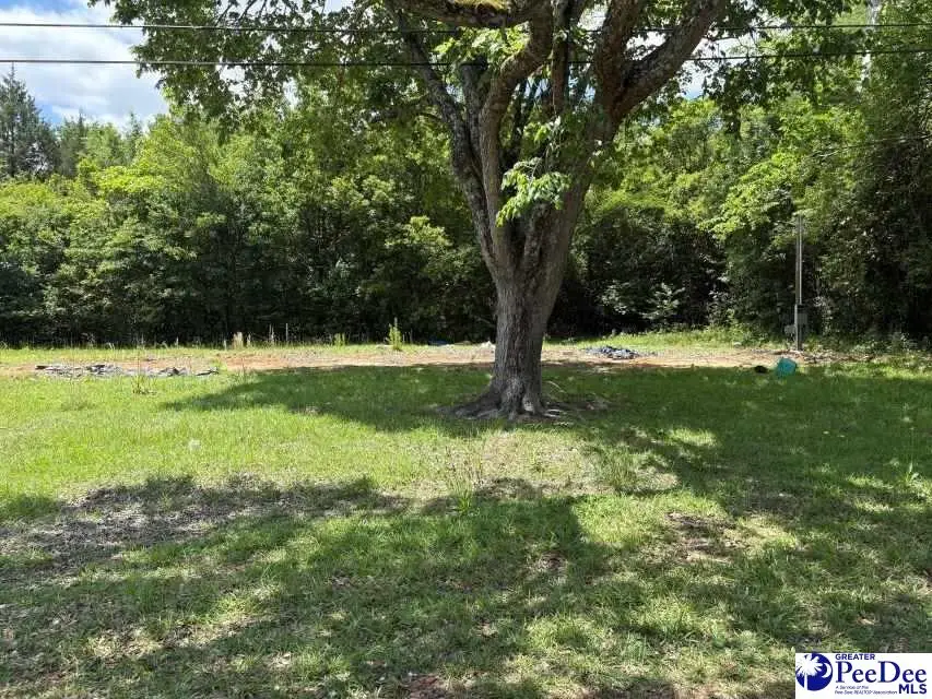 1108 E Hudson Street, Dillon, SC 29536 - #1
