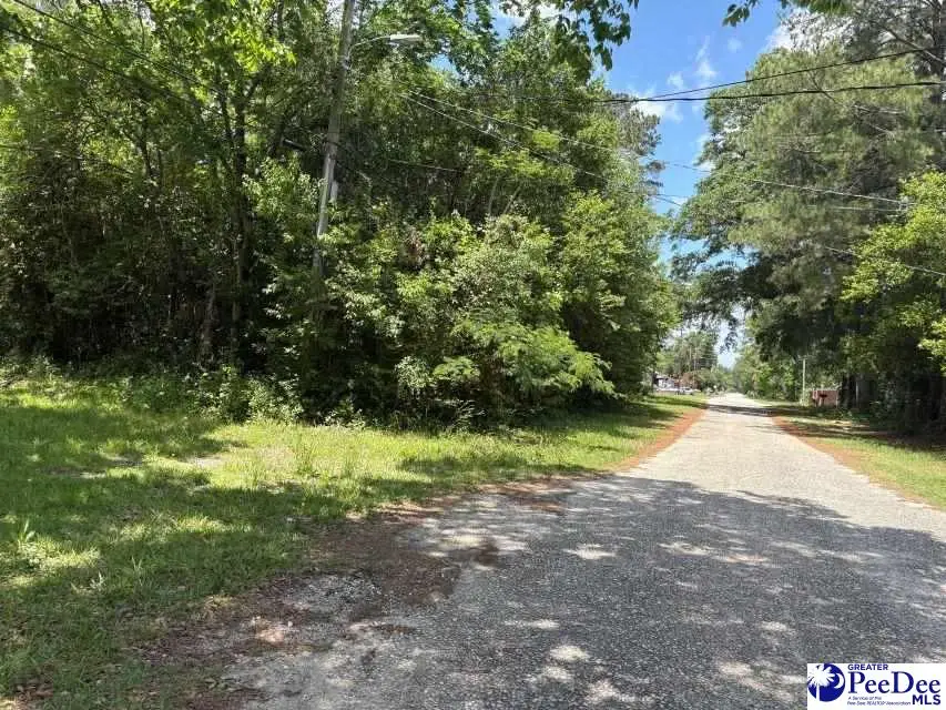 1108 E Hudson Street, Dillon, SC 29536 - #2
