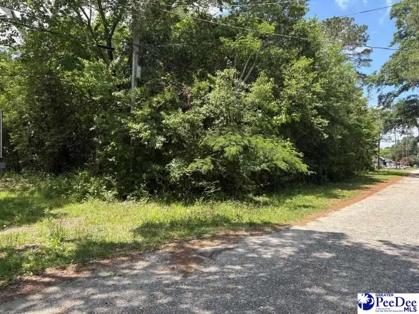 1108 E Hudson Street, Dillon, SC 29536 - #3