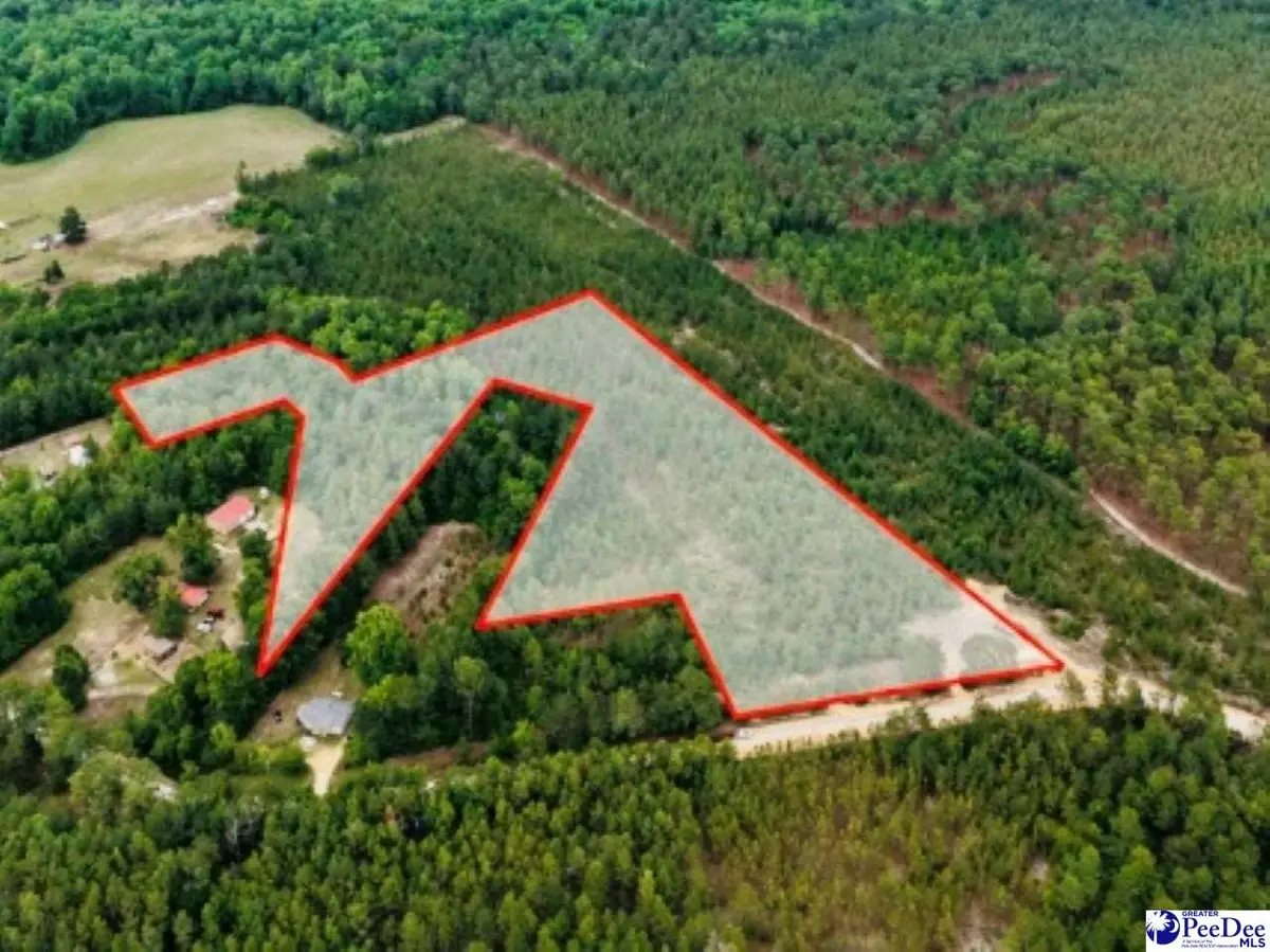 231 Jc Barefoot Rd, Patrick, SC 29584 - #1