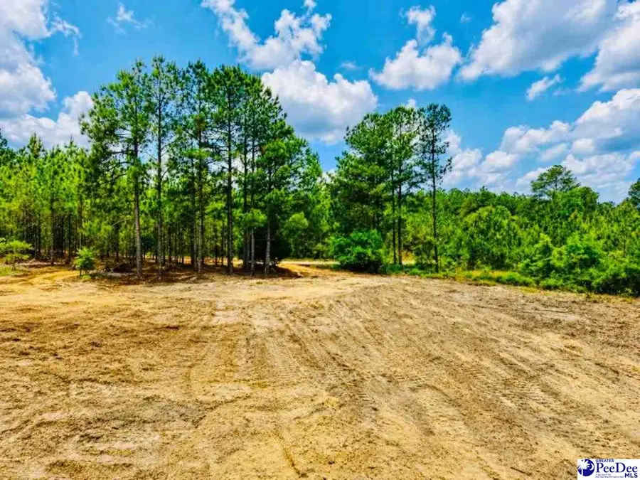 231 Jc Barefoot Rd, Patrick, SC 29584 - #3