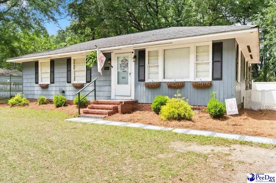 461 N Railroad Ave, Johnsonville, SC 29555 - #3