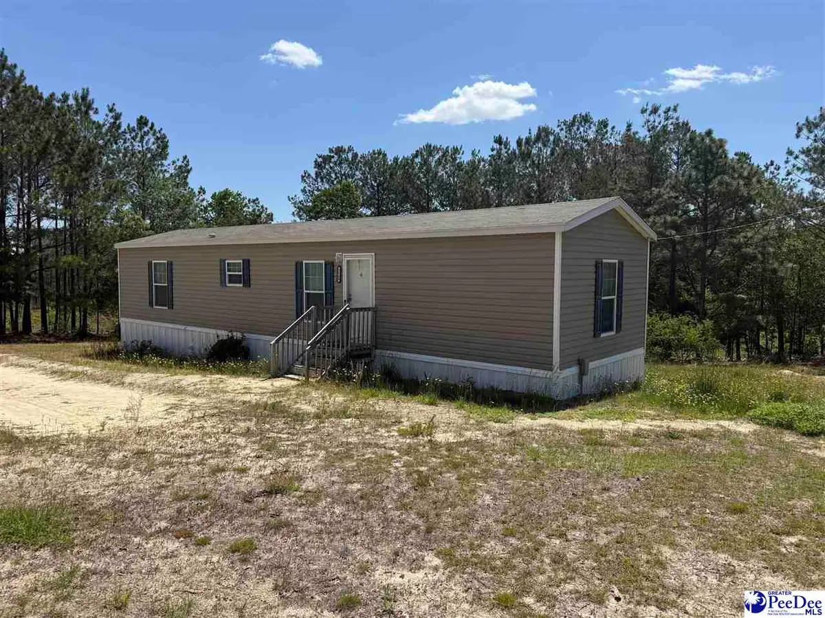 2640 Old Wire Rd West, Wallace, SC 29596 - #1