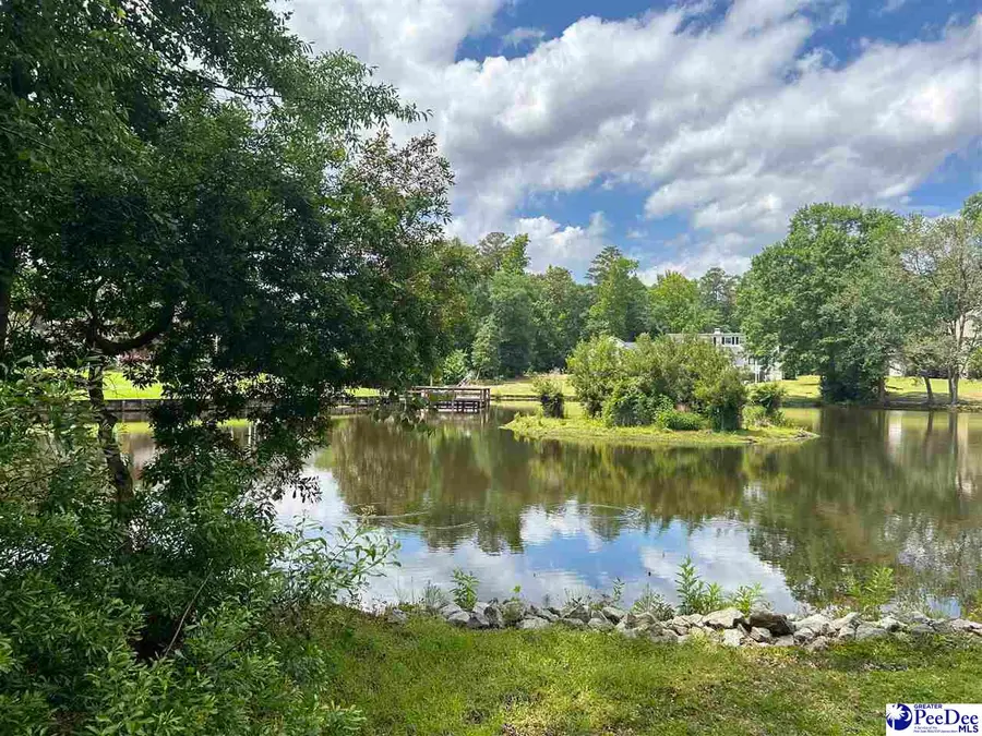 20009 Heyward Ct, Florence, SC 29506 - #2