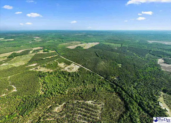 2780 Mill Creek Road, Bethune, SC 29009