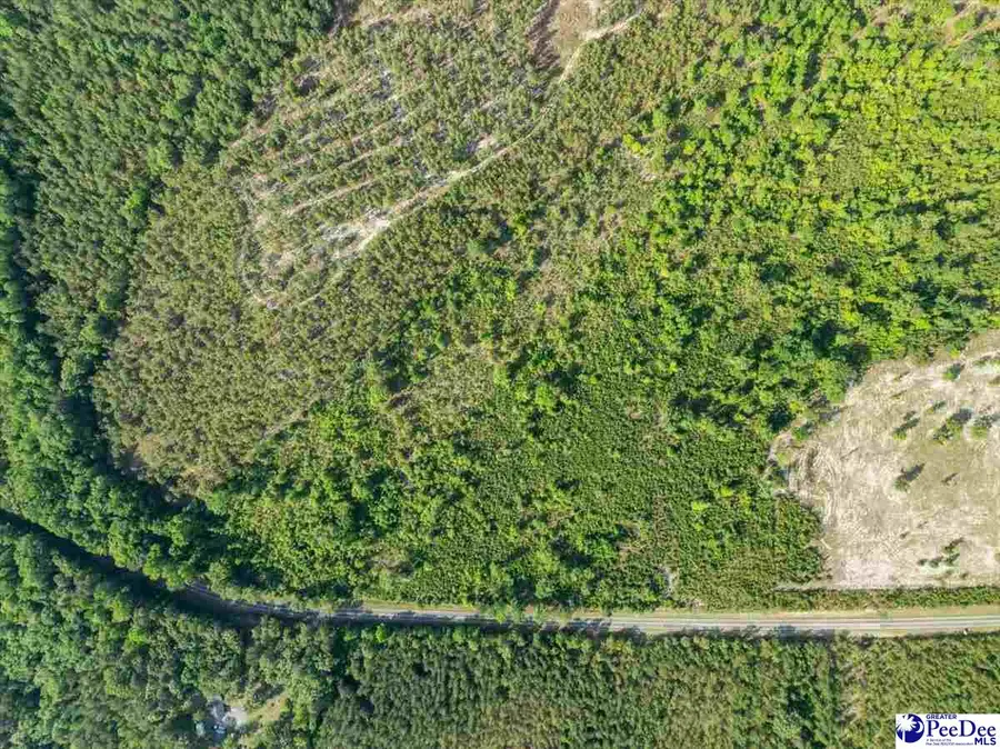 2780 Mill Creek Road, Bethune, SC 29009 - #3
