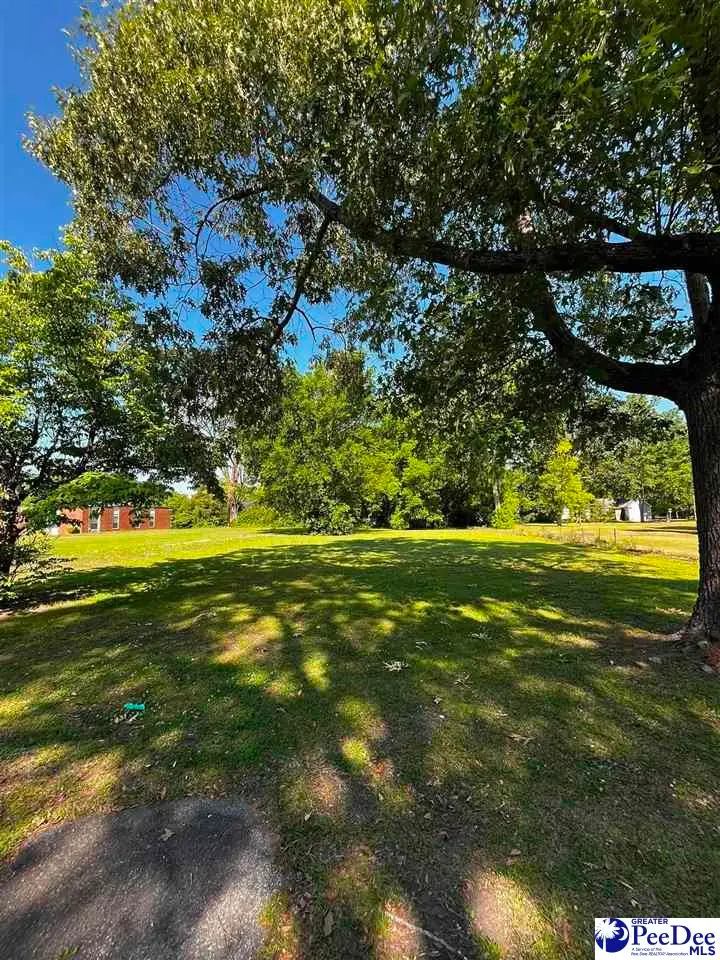 310 Bobby L Davis Blvd, Marion, SC 29571 - #1