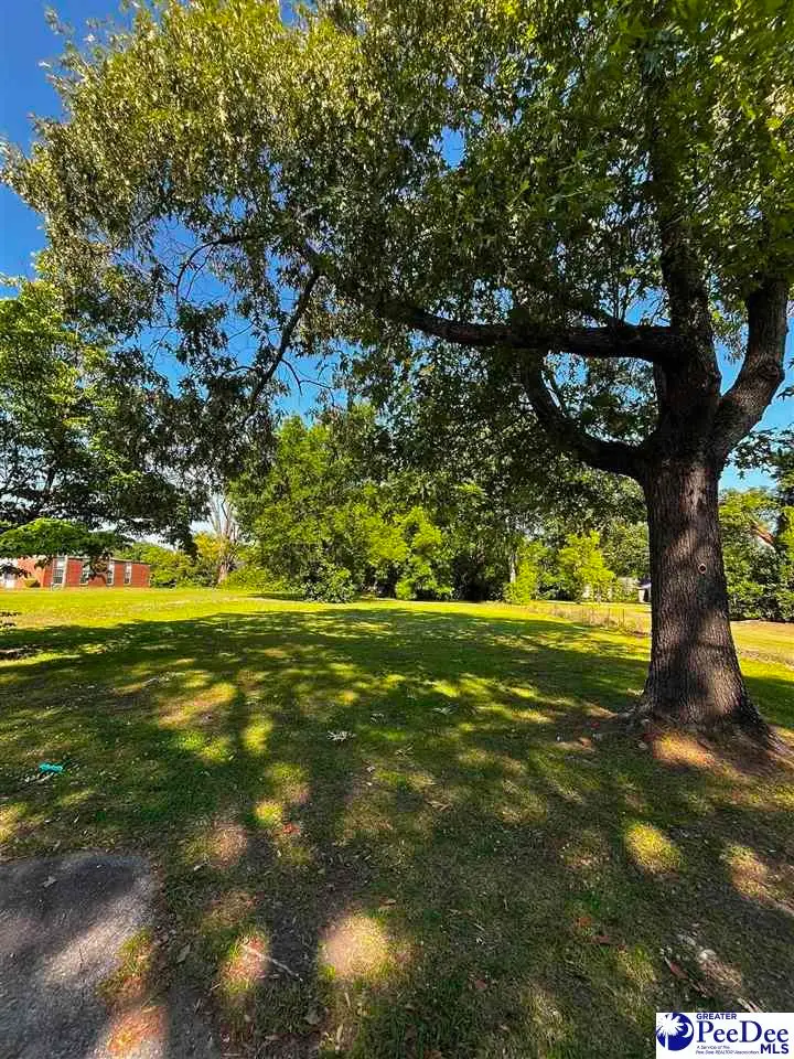 310 Bobby L Davis Blvd, Marion, SC 29571 - #2