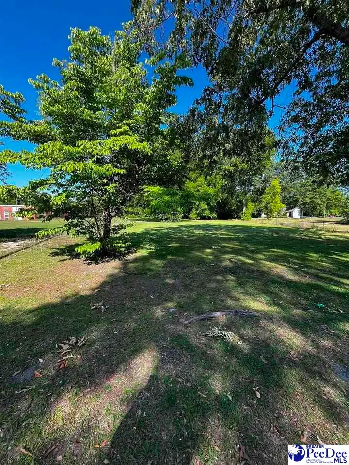 310 Bobby L Davis Blvd, Marion, SC 29571 - #3