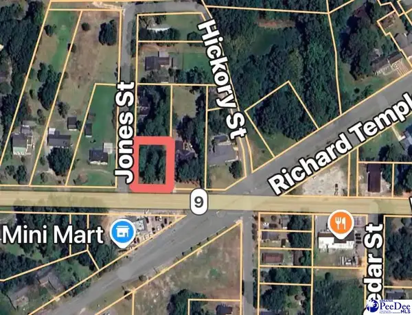 TBD Corner Of Highway 9 & Hickory Street, Lake View, SC 29563