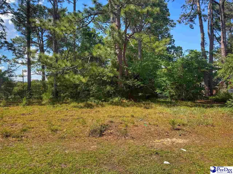 TBD Corner Of Highway 9 & Hickory Street, Lake View, SC 29563 - #2