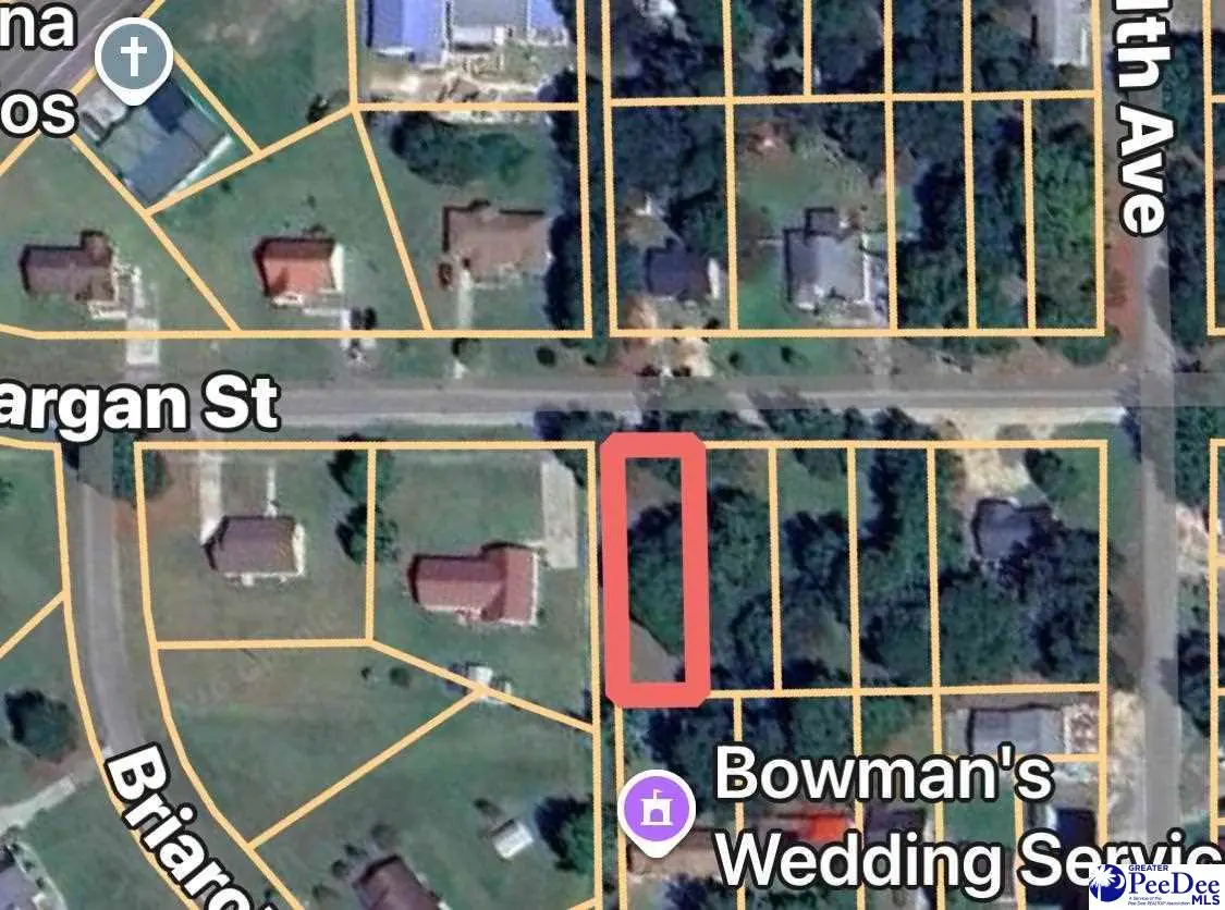 711 W Dargan Street, Dillon, SC 29536 - #1