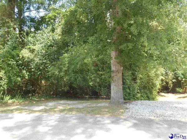 1007 Hondros Circle, Florence, SC 29505