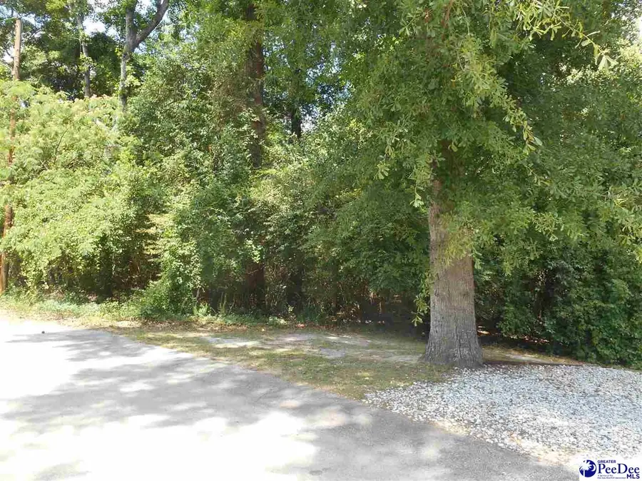 1007 Hondros Circle, Florence, SC 29505 - #3