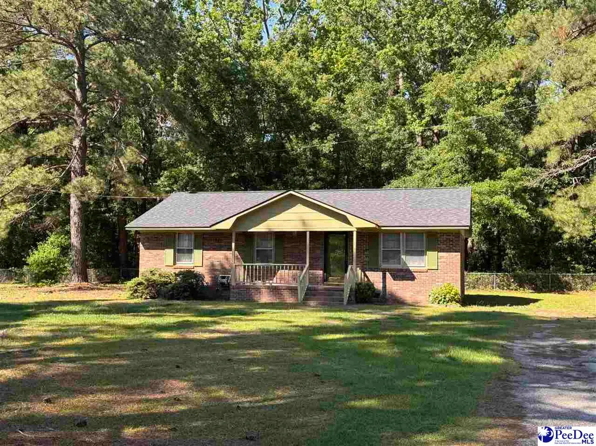 201 Nordell Street, Darlington, SC 29532-8106 - #1
