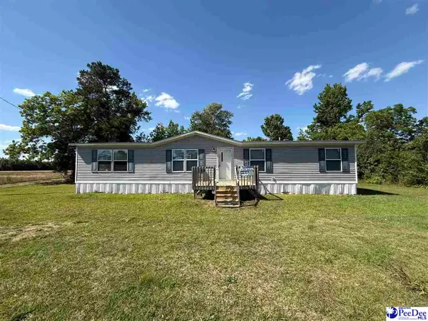 4905 Mount Sinai Church Rd, Lynchburg, SC 29080