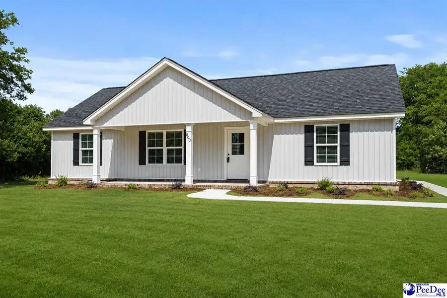 800 Tinkerbell Ln, Pamplico, SC 29583 - #2