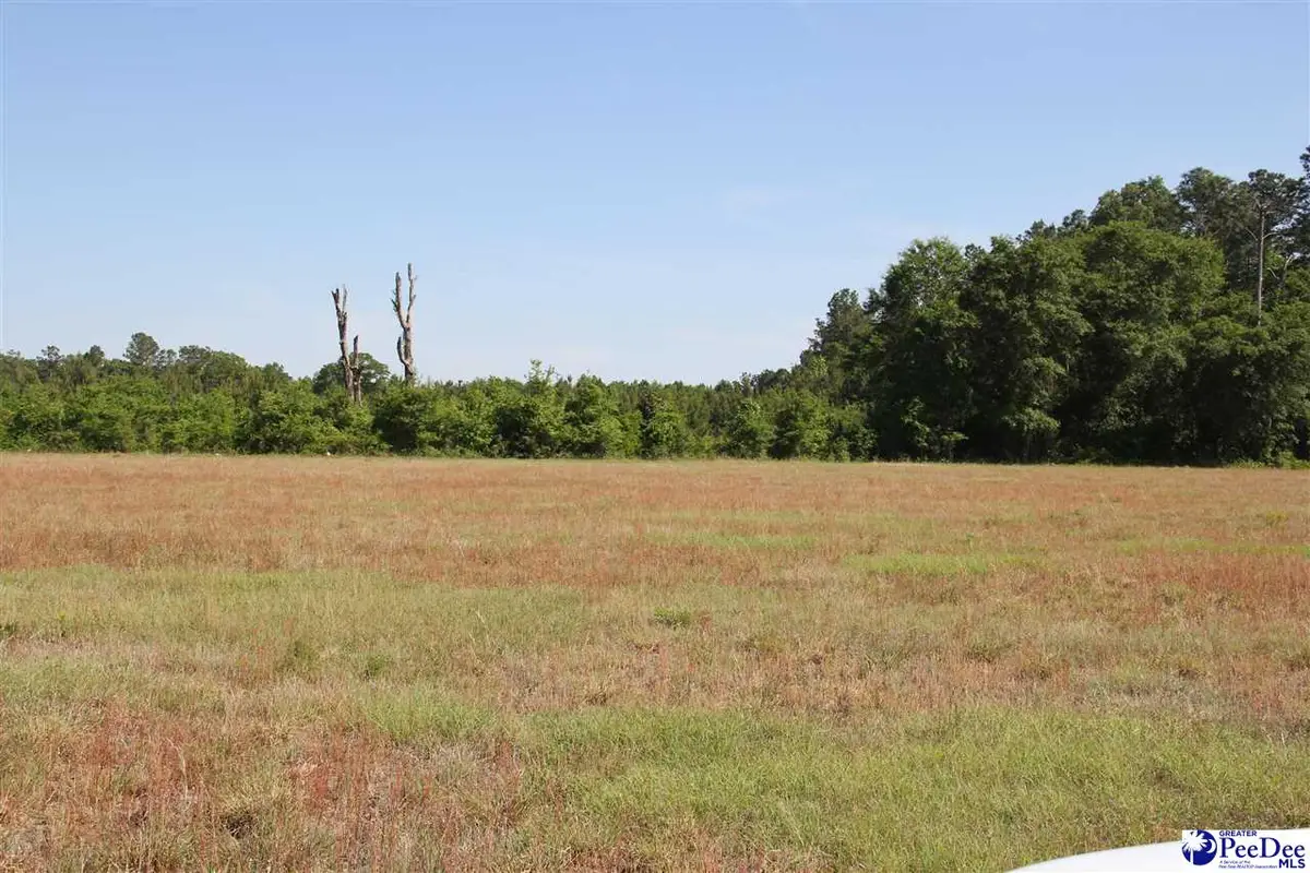 TBD Gallowaytown Road, Hartsville, SC 29550 - #1